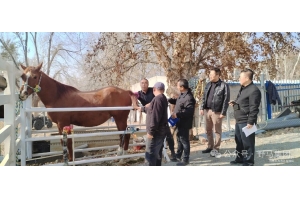 政策支持 企業(yè)發(fā)力 農(nóng)民受益——現(xiàn)代畜禽種業(yè)提升專項(xiàng)資金項(xiàng)目成效顯著